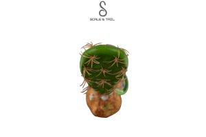 cactus-plants-l